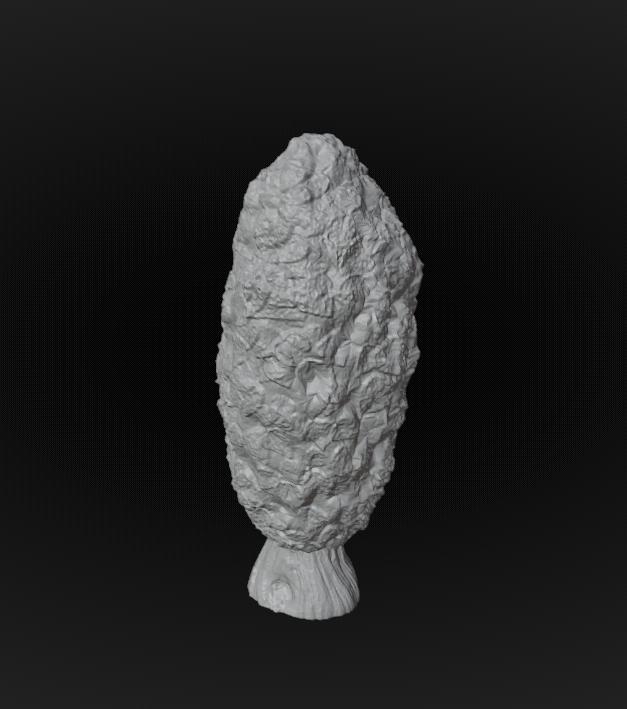 Conifer Tree 28mm scale