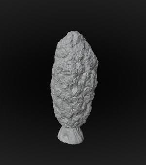 Conifer Tree 28mm scale