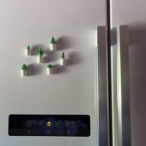 Cactus Fridge Magnet Pack