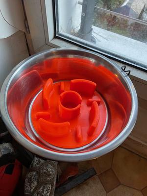 Fond de gamelle anti-glouton chien