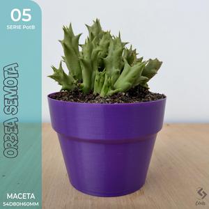 Pot B_05