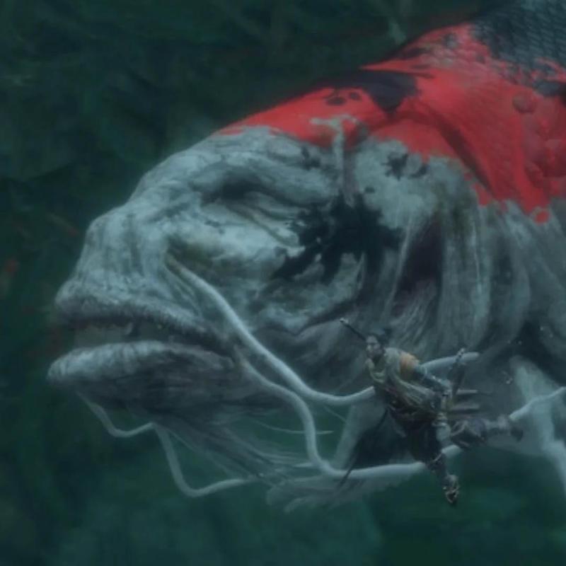 Great Coloured Carp Nishikigoi - Sekiro Shadows Die Twice