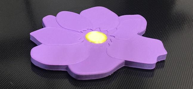 Flower Coaster