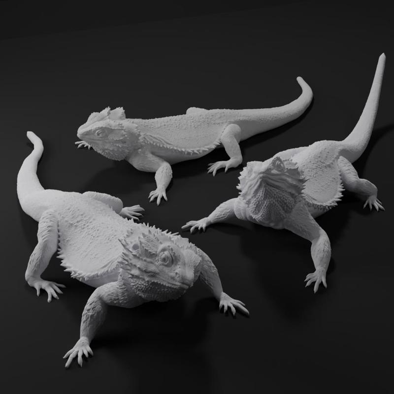Bearded Dragon Realistic Lizard