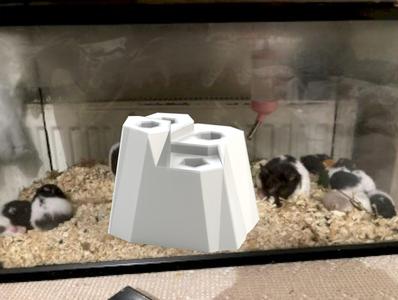 Mountain Hamster Nest