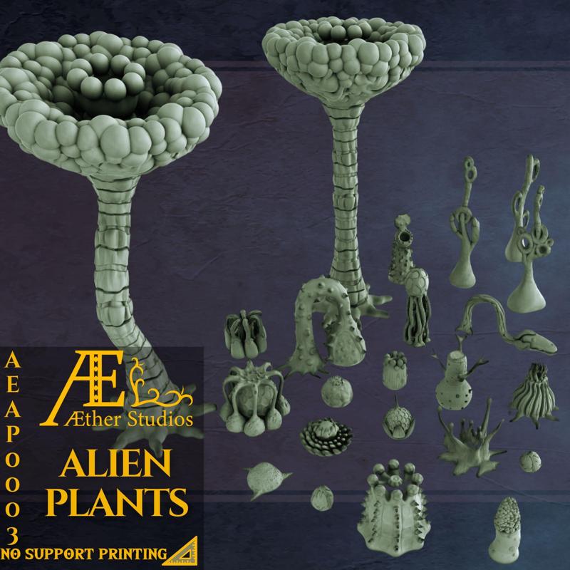 AEAP0003 - Alien Plants
