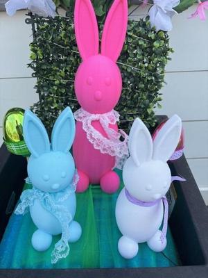 3D Bunny