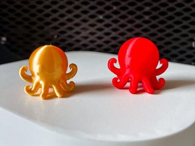 baby octopus