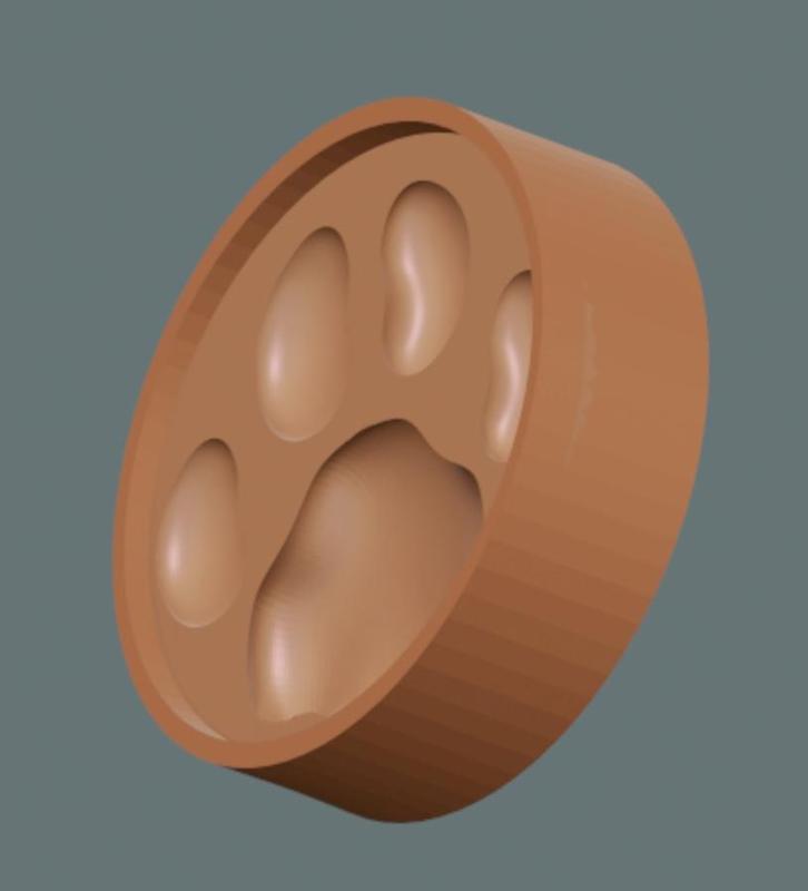 Feline paw pad mold