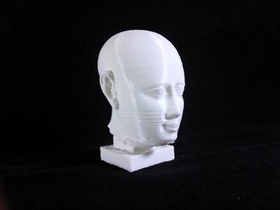 Head from a male statue