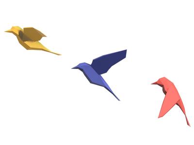 Polygonal Birds