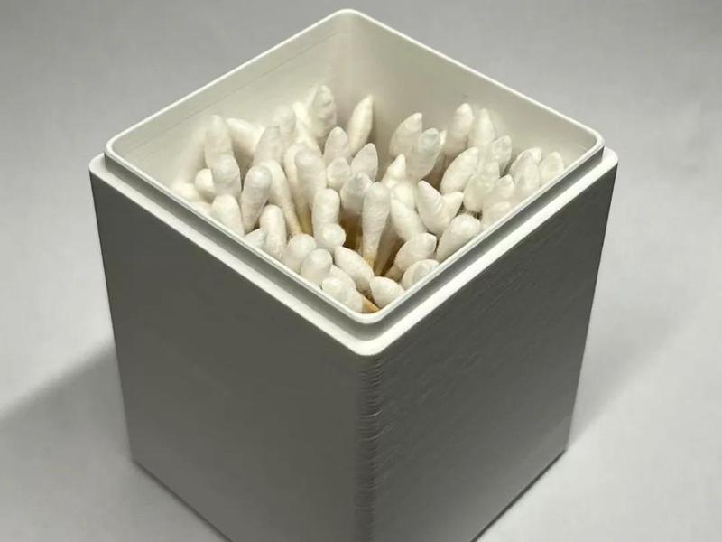 Travel Cotton Swab Case