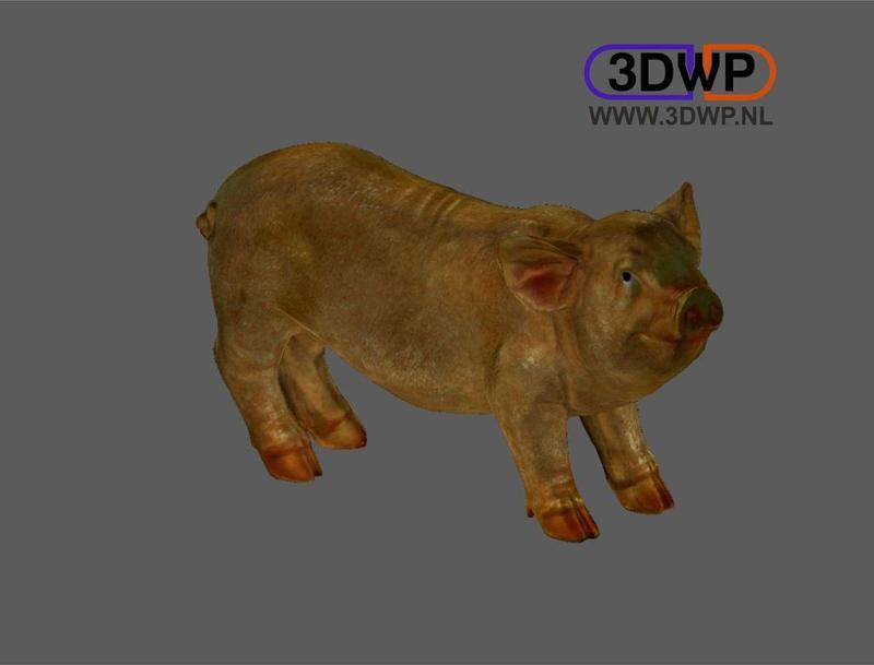 Pig Sculpture 3D Scan