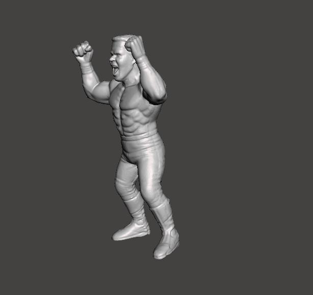 WWF WCW GALOOB GALOOB LUCHA LIBRE PRESING CATCH FIGURA sting .STL .OBJ WCW