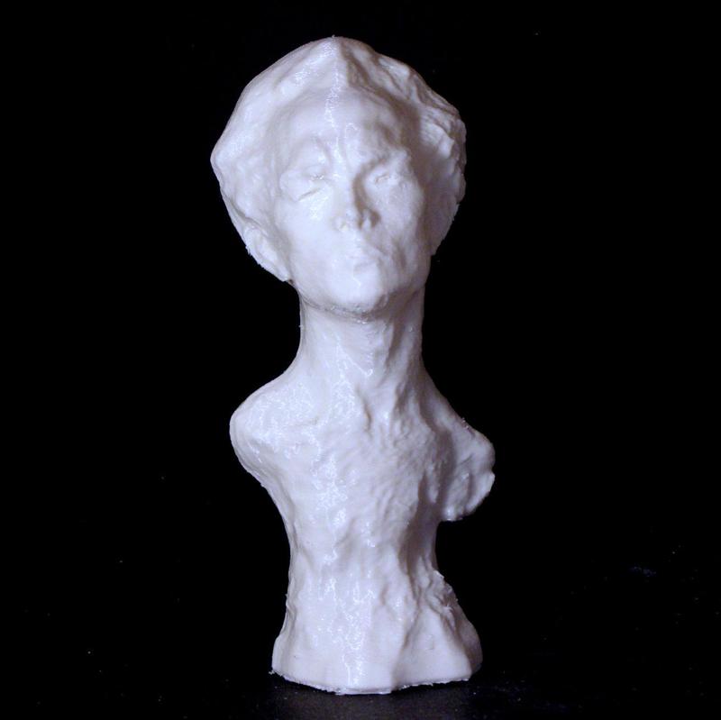 Portrait of Petras Vaivada