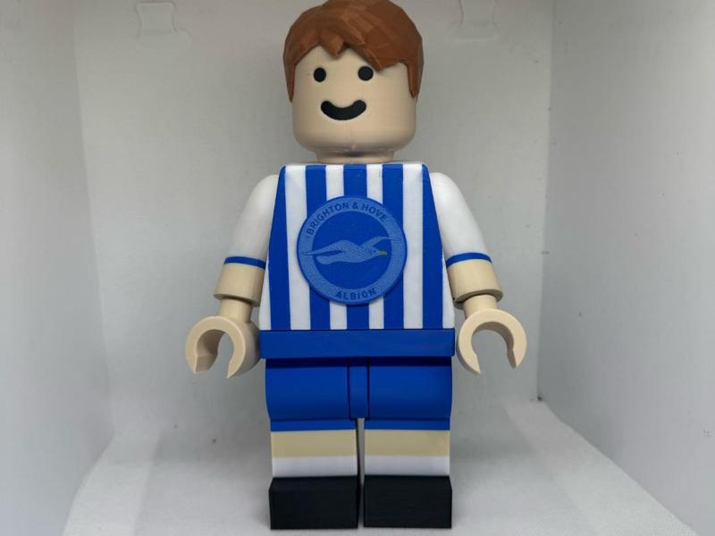 Brighton and hove albion brick man big brick