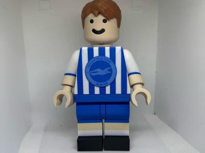 Brighton and hove albion brick man big brick