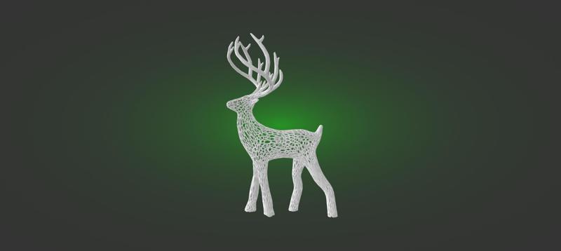 Deer