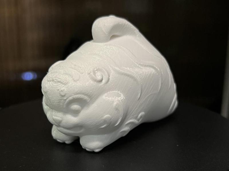 Adorable Little Feisty Tiger