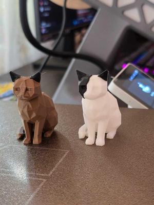 Low Poly  Cat