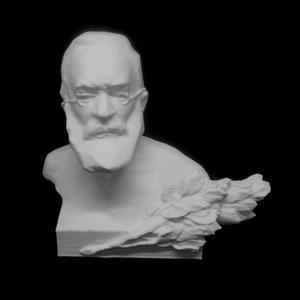 Vincentiu Babes in Timisoara, Romania