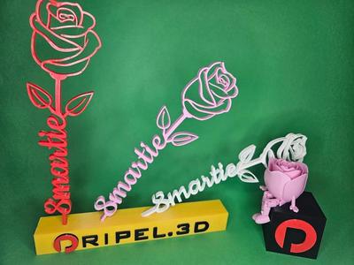 Rose 8th March (RO) 8 Martie   