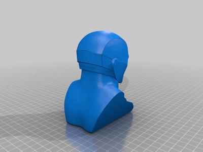 Red Hood Bust