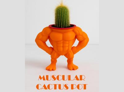 Muscular cactus pot