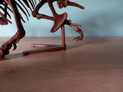 T-Rex - Leo Burton Mount 