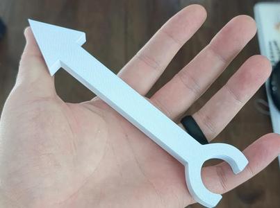 Imaging Pole Arrow / Pole Mounted Arrow   