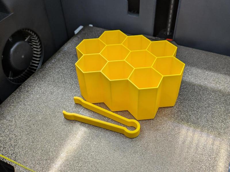 Sensory Plateau Honeycomb Alveoli