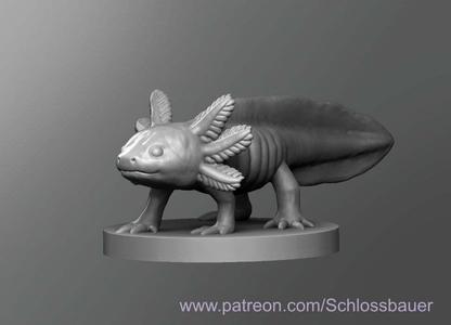 Axolotl