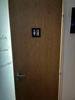 Toilet markings, stick figures on the toilet door
