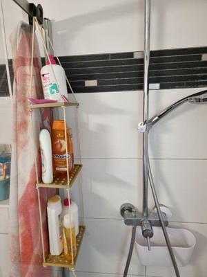 soap dish-shower cabin