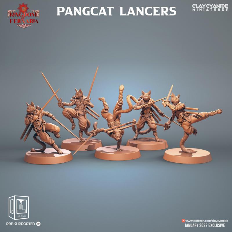 Pangcat Lancers