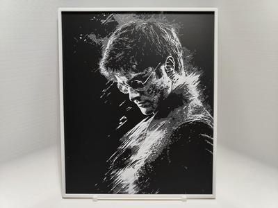 Harry Potter - Hueforge