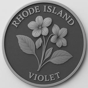 rhode island state flower violet coin token wall art