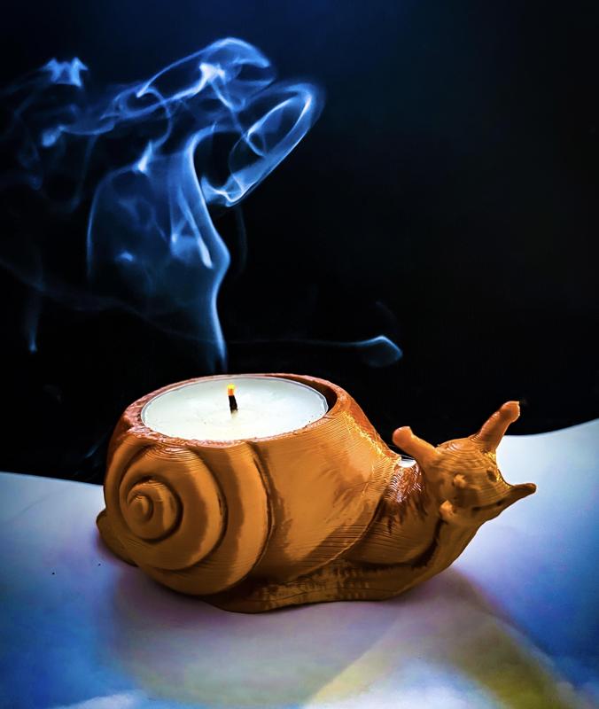 CANDLE SNAIL