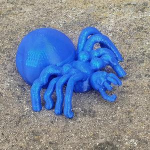 Spider no.1