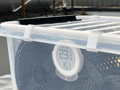 Lid Clip for SmartStore Box classic 31