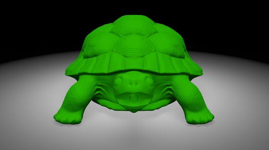 Tortois