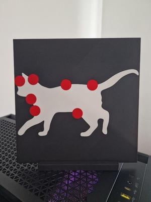 Cat Reiki