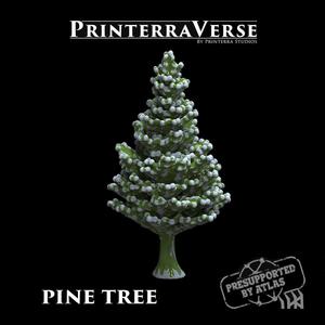 004 PLANT Pine tree