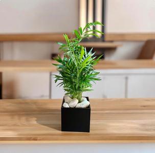 Self Watering Vase