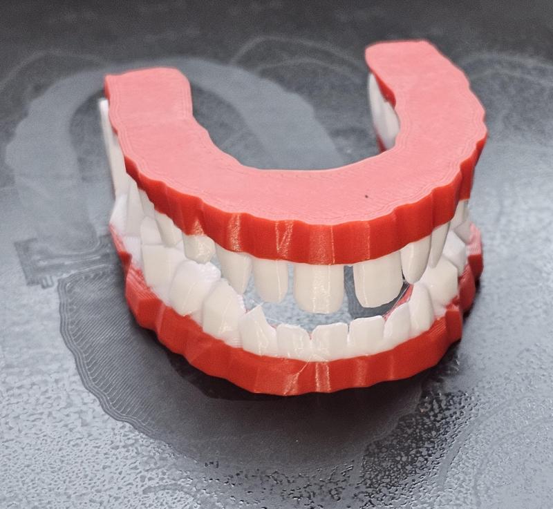 Tooth brushing trainer / Zahnputz Trainer