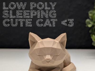 Low Poly Sleeping Cat