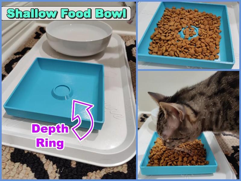 Cat Food Bowl (Shallow / Low Profile)