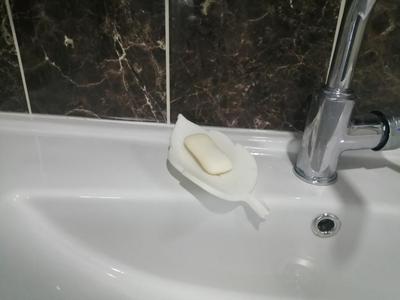 Leaf Soap Holder