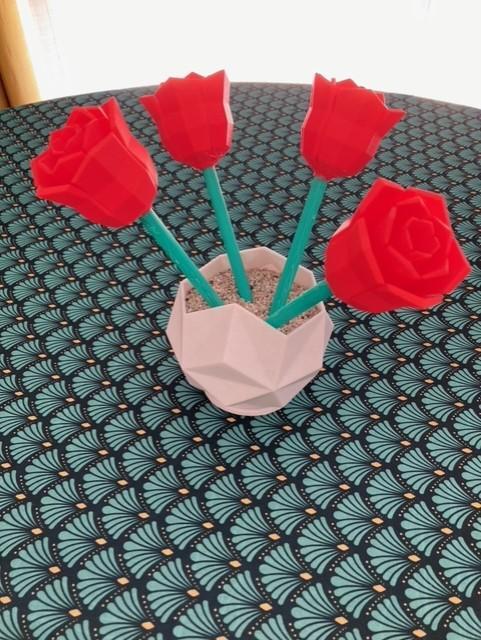 pot + roses