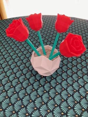 pot + roses